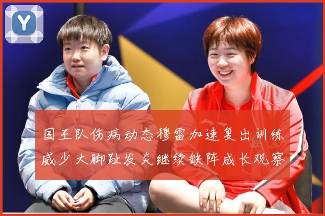 国王队伤病动态穆雷加速复出训练威少大脚趾发炎继续缺阵成长观察：最新赛事动态与深度分析