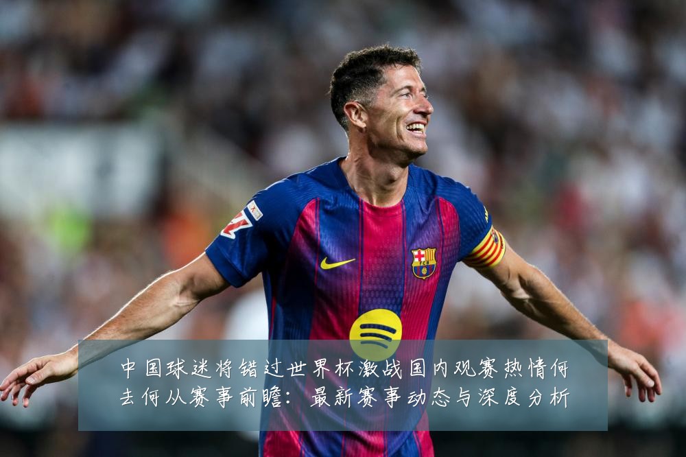 中国球迷将错过世界杯激战国内观赛热情何去何从赛事前瞻:最新赛事动态与深度分析